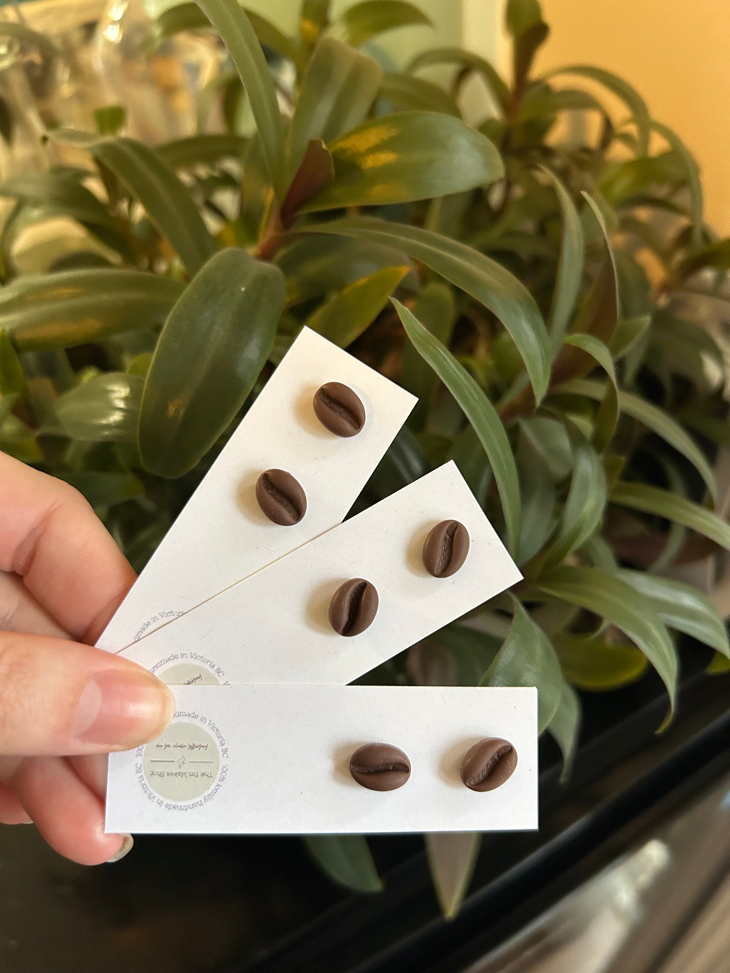Coffee bean studs
