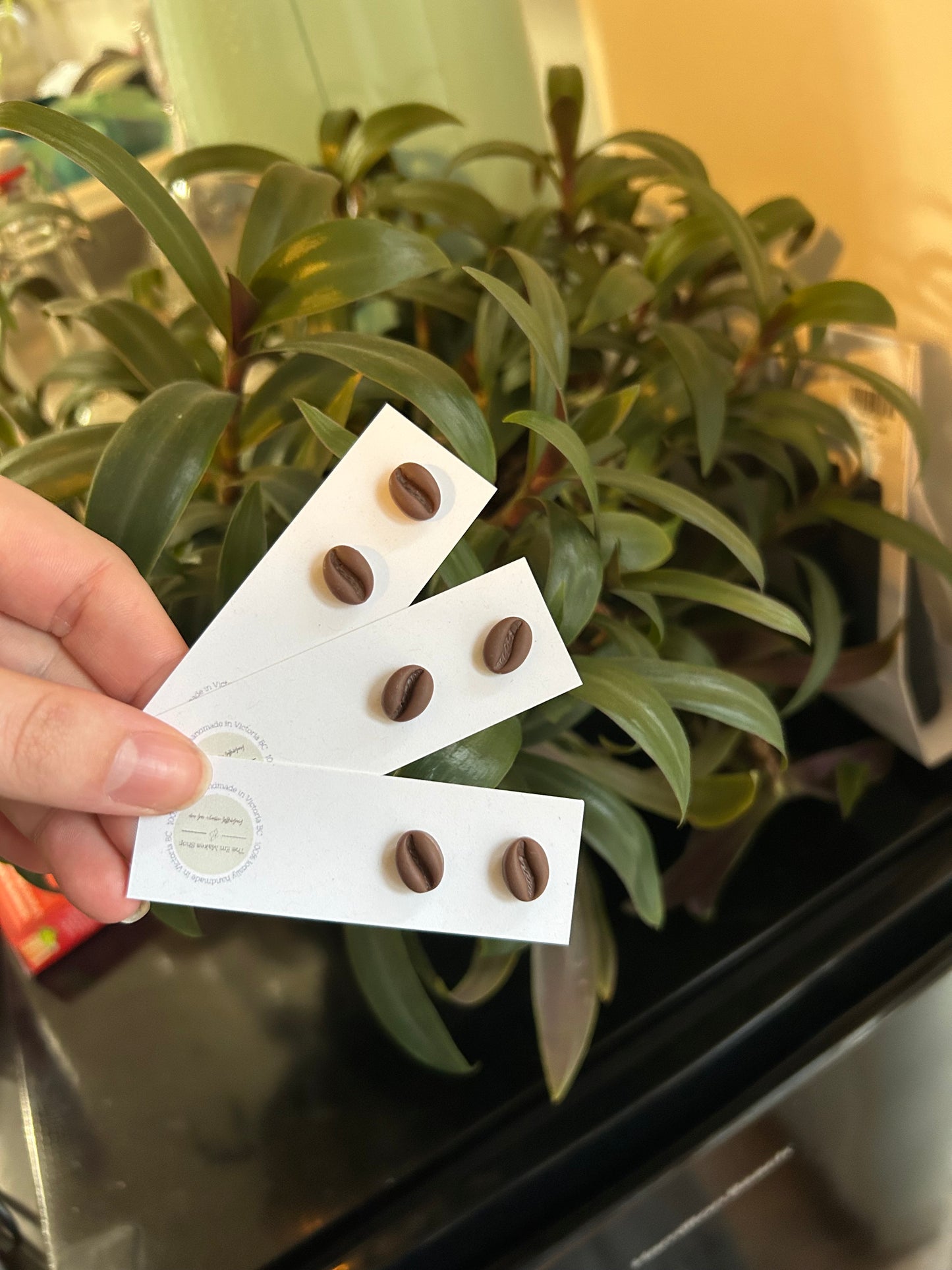Coffee bean studs