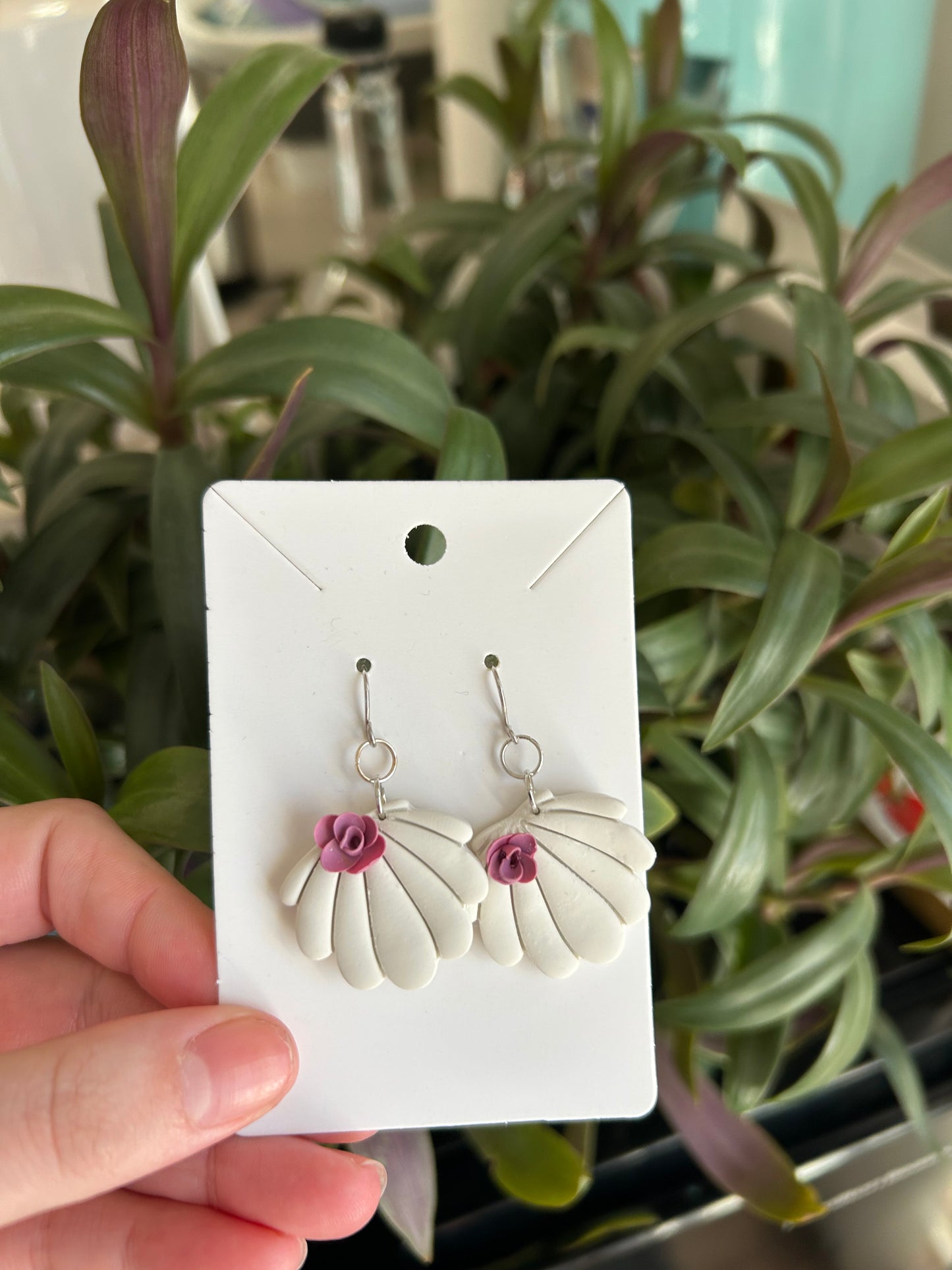 Cute clam shells