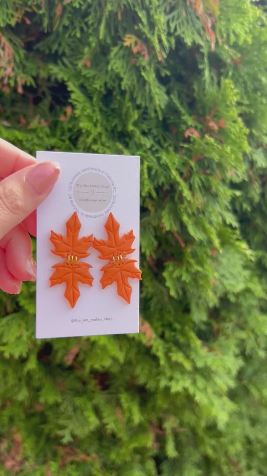 Fall leaves